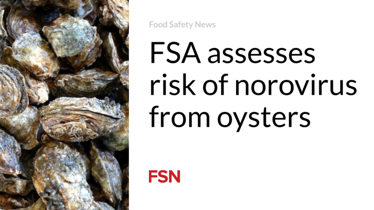 FSA assesses probability of norovirus from oysters