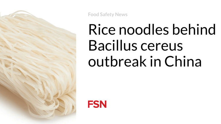 Rice noodles on the abet of Bacillus cereus outbreak in China
