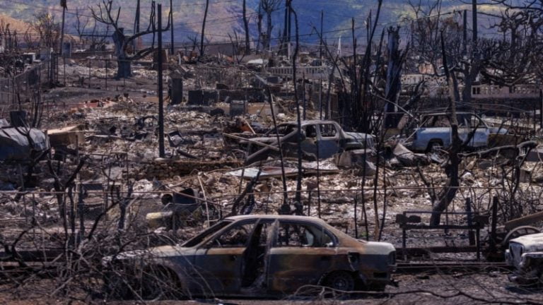 US Hit by 25 Reported Billion-Dollar Native weather Disasters in 2023