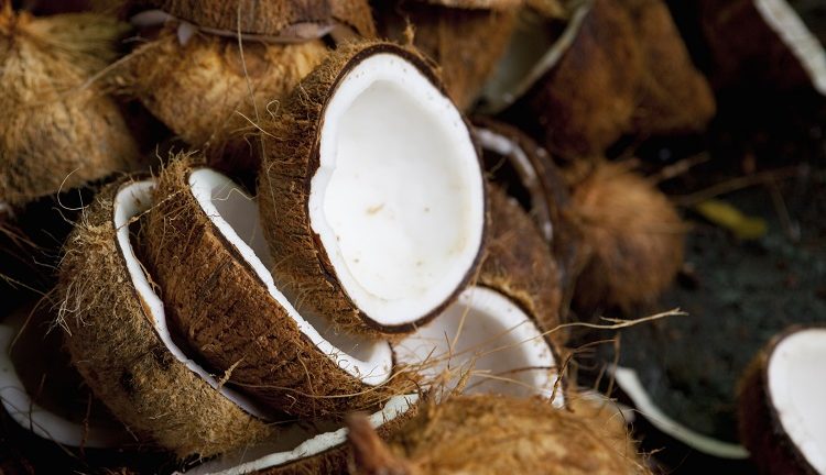 Addressing unsustainable practices within the coconut present chain: ‘Farmers are trapped in a vicious cycle of poverty’